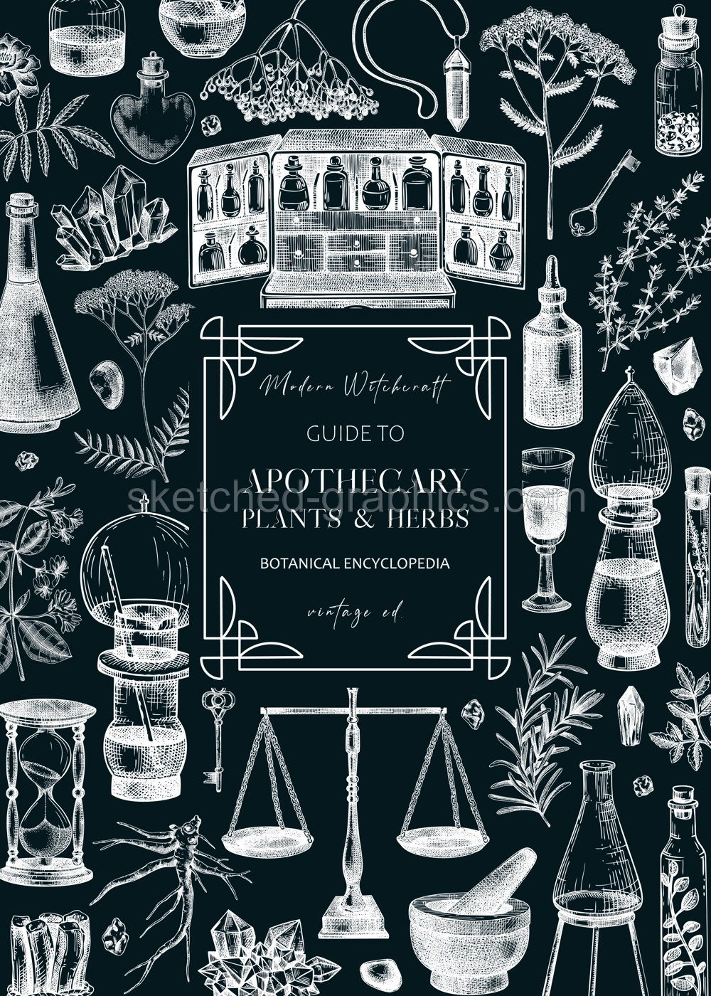 Antique apothecary hand-drawn vector illustrations. Alchemy sketches on chalkboard. Vintage chemistry frame, banner, card, flyer design. NOT AI generated Illustration